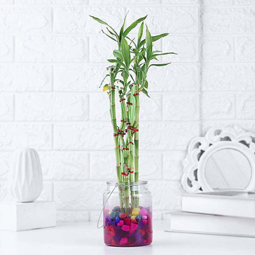 Prosperity 8-Shaped Bamboo Gift