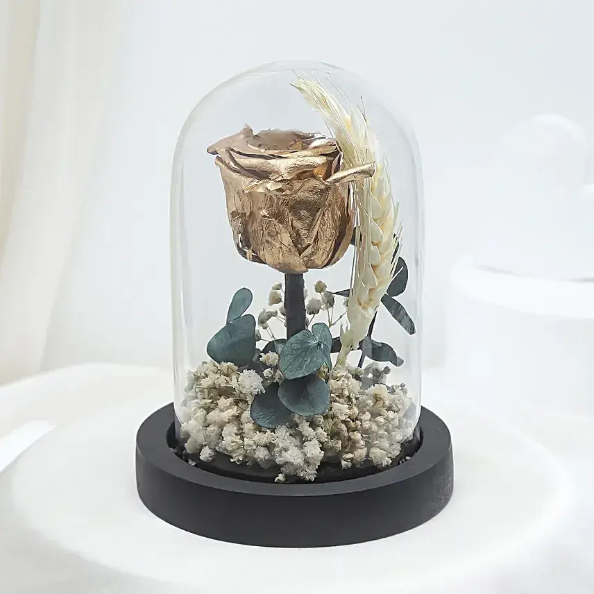 Radiant Forever Golden Rose