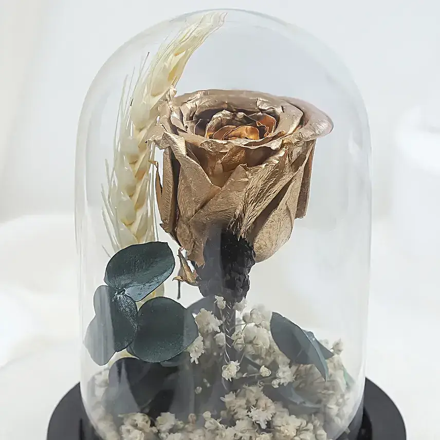 Radiant Forever Golden Rose