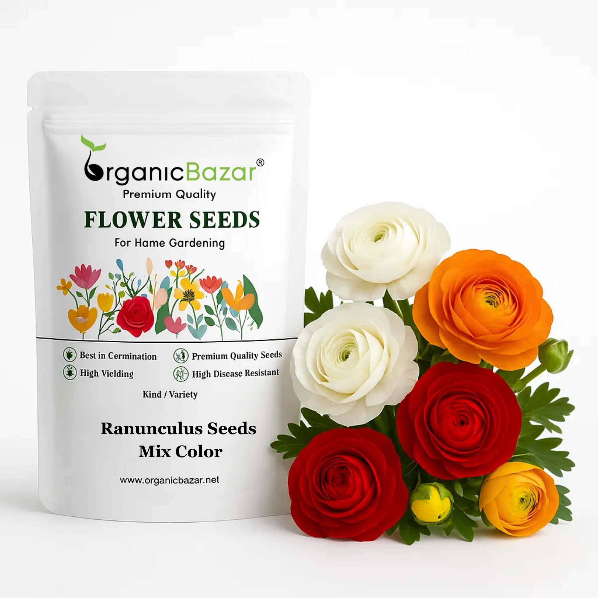 Ranunculus Seeds Mix Color (10 Seeds) High Germination/ Easy To grow/ Perfect for pots, balconies, or Terrace gardens