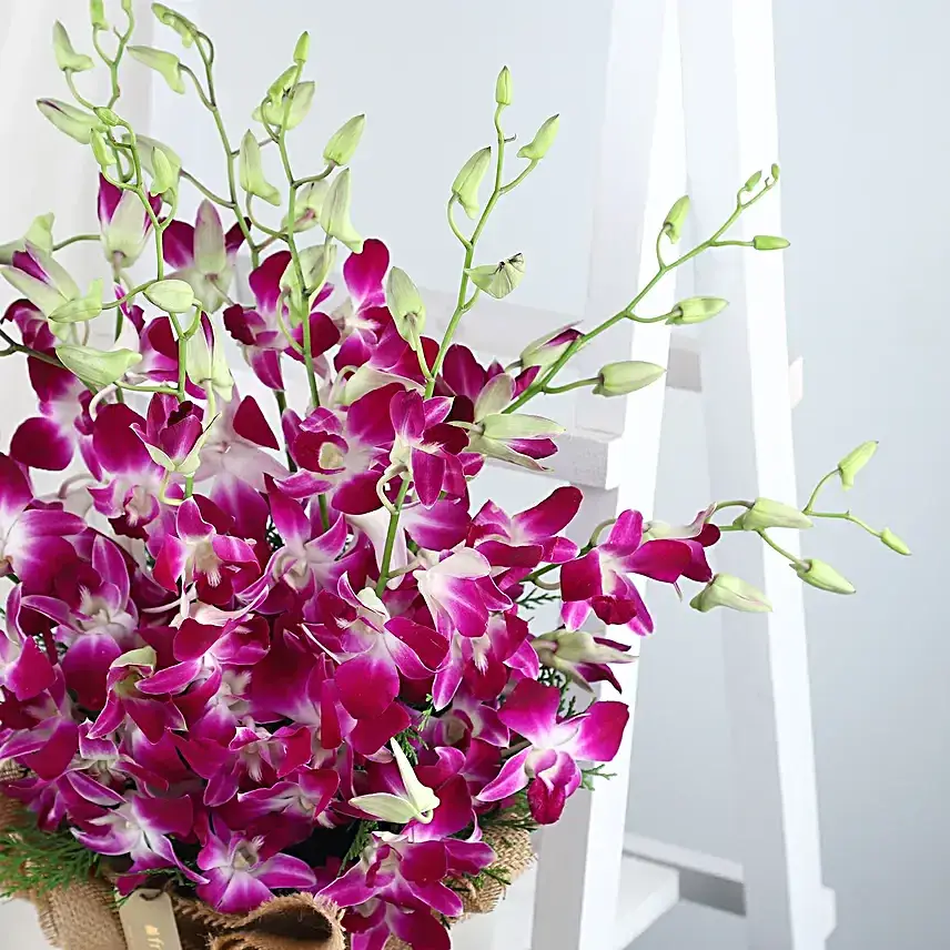 Ecstatic Feelings Floral Arrangement