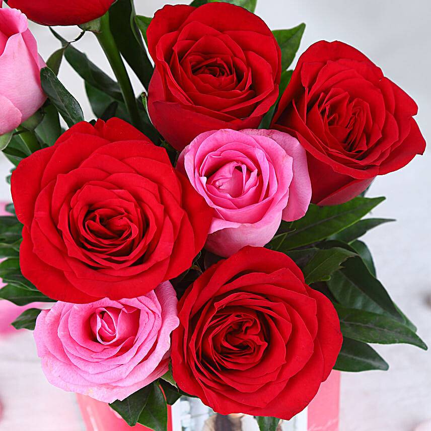 Romantic Rose Radiance