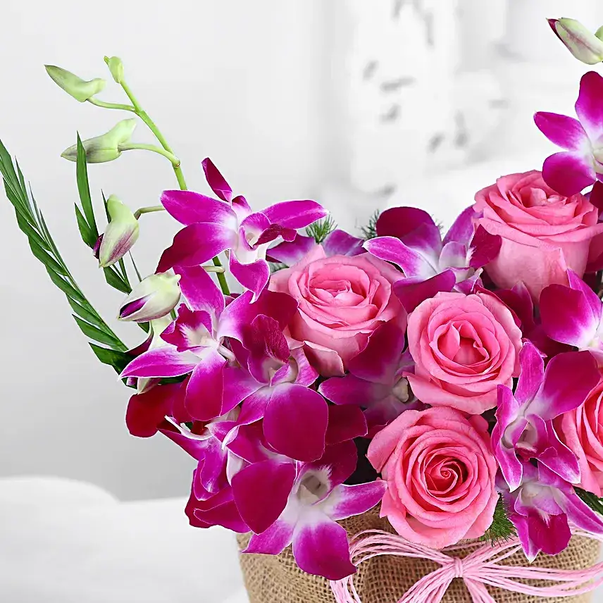 Rose and Orchid Oasis