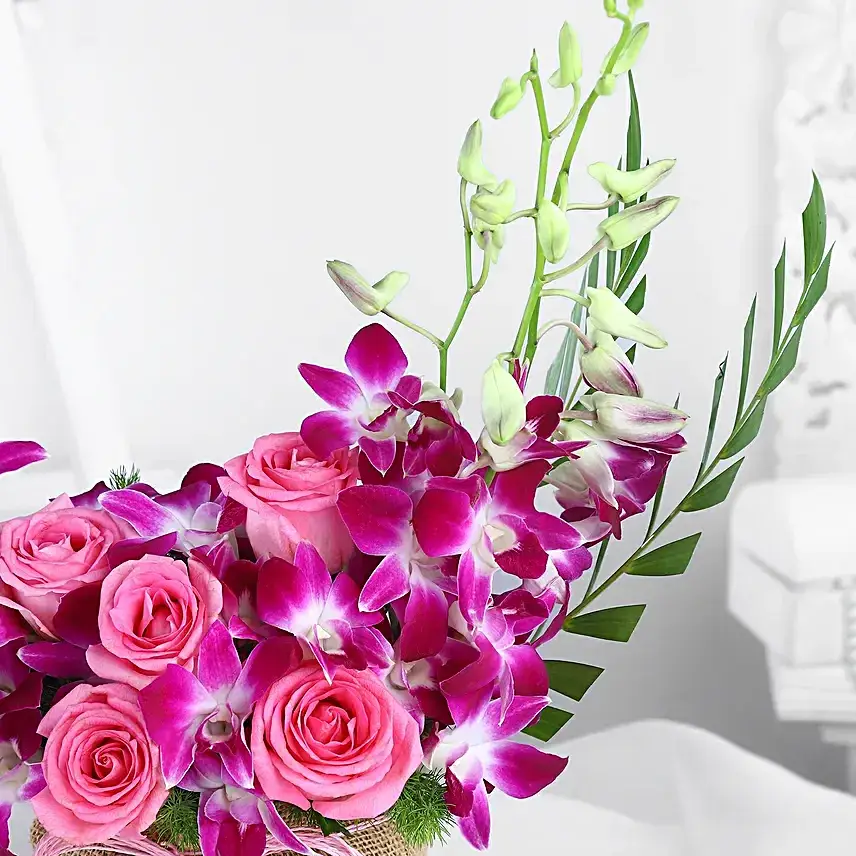 Rose and Orchid Oasis