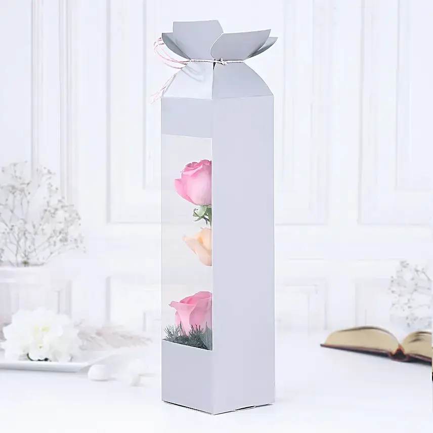 Rose Radiance Mini Surprise