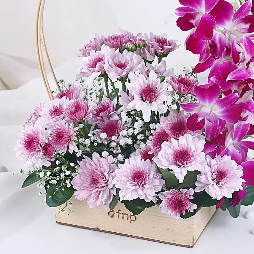 Royal Orchid & Daisy Embrace