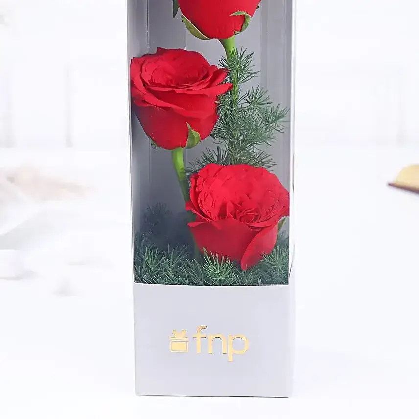 Ruby Rose Melody Bouquet & Truffle Cake Combo