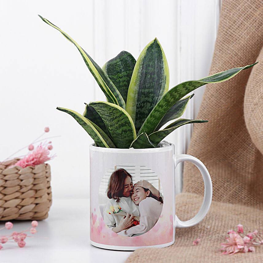 Sansevieria Gift Mug For Mom