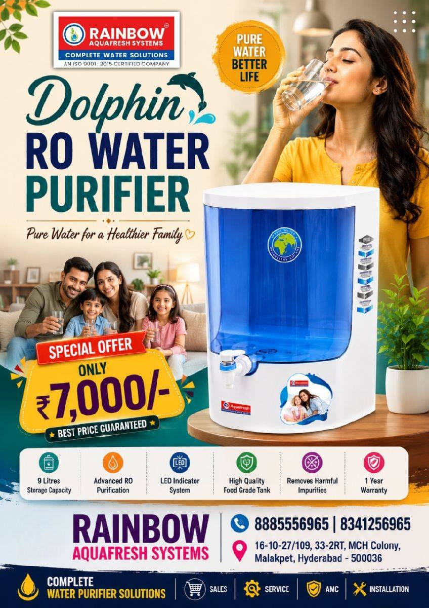 Dolphin