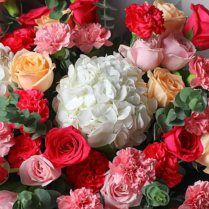 Serene Blossom Splendor