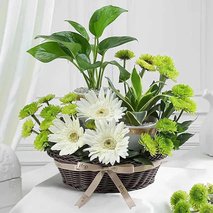 Serene Floral Basket Arrangement