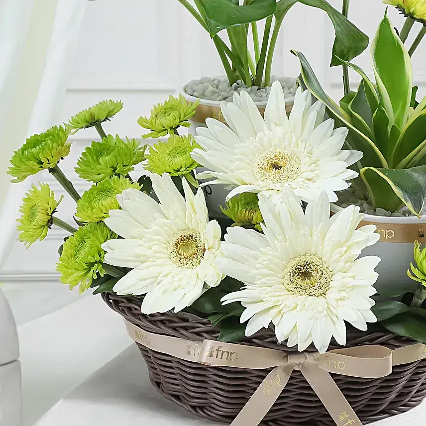 Serene Floral Basket Arrangement