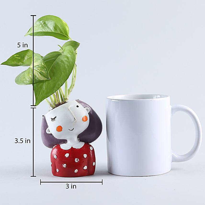 Set of 3 Air Purifying Plants In Raisin Pots