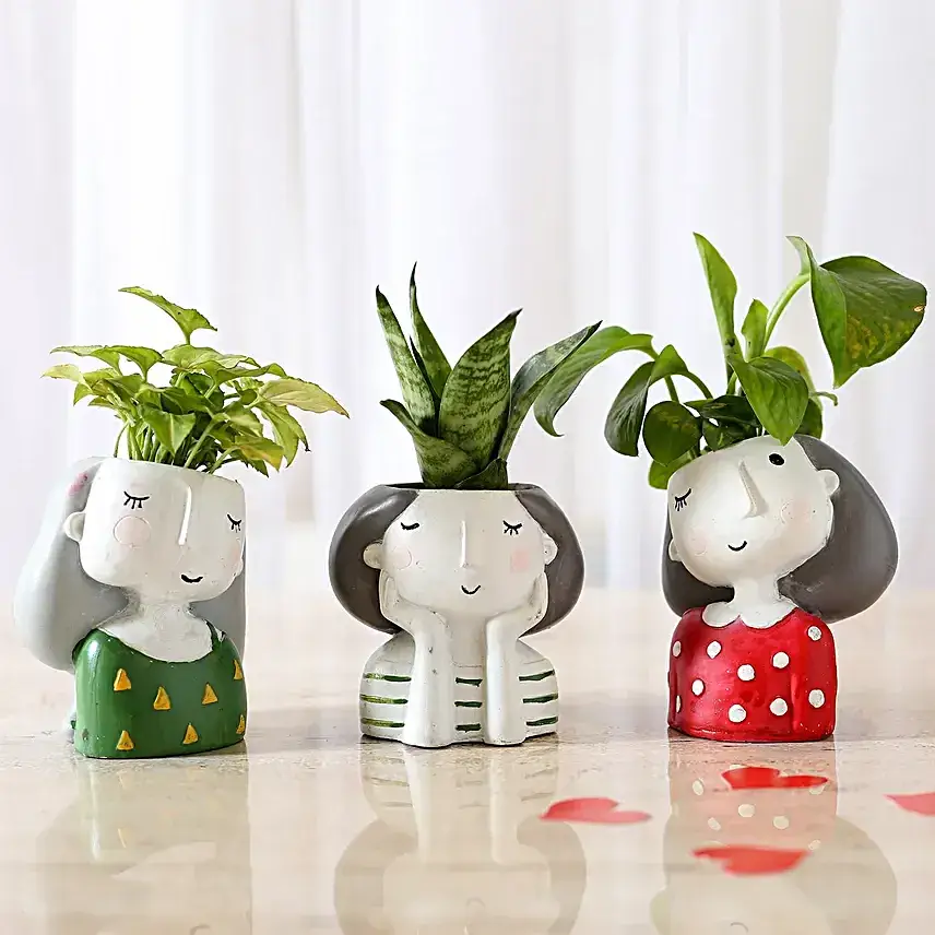 Set Of 3 Green Plants In Cute Girl Pots