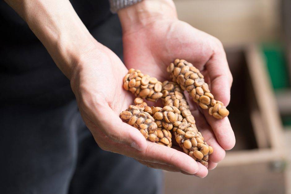 Buy  Kopi Luwak Coffee