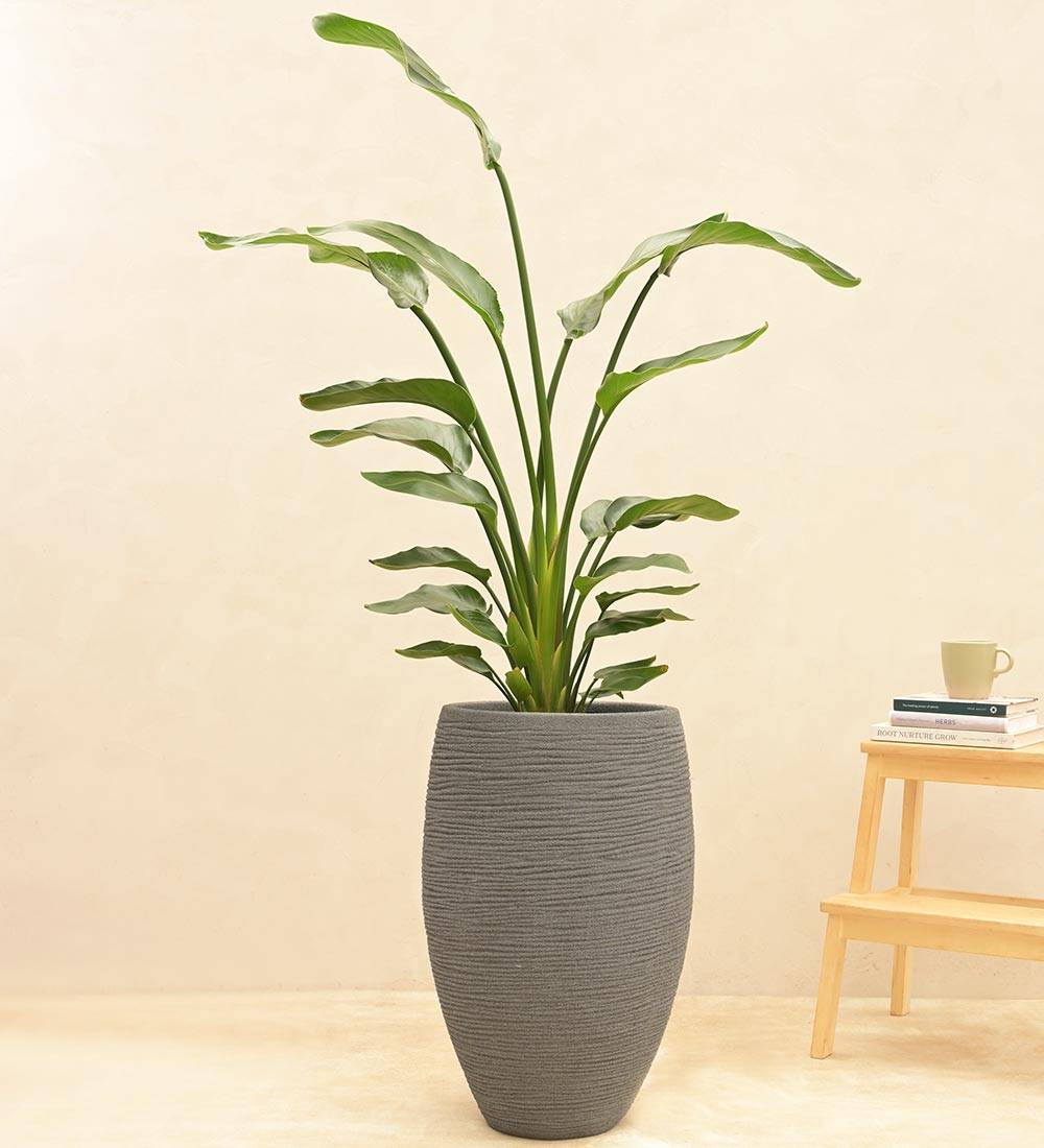 Rib High Planter