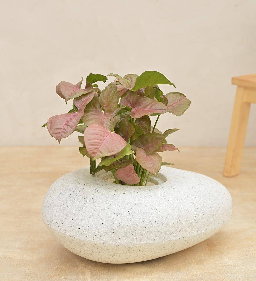 Pebble Shaped Planter