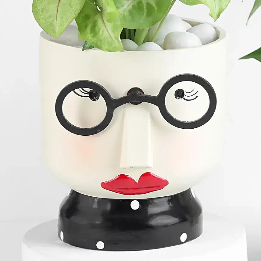 Blissful Beauty Syngonium Plant