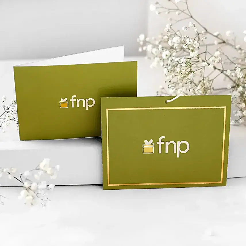 Spider Plant Gift for Dad