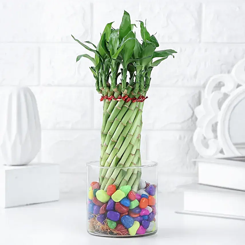 Spiral Bamboo Blessings