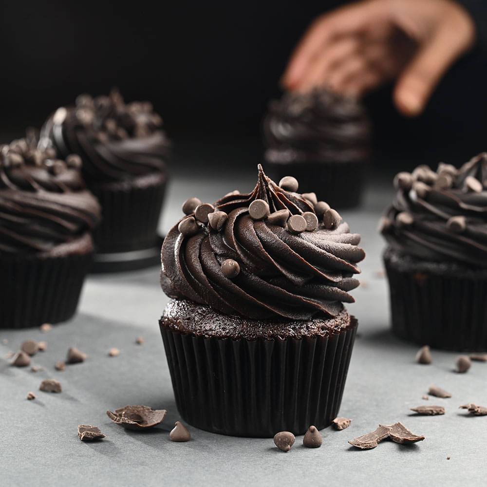 Choco Chip Cupcake