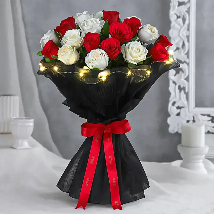 Midnight Rose Dream