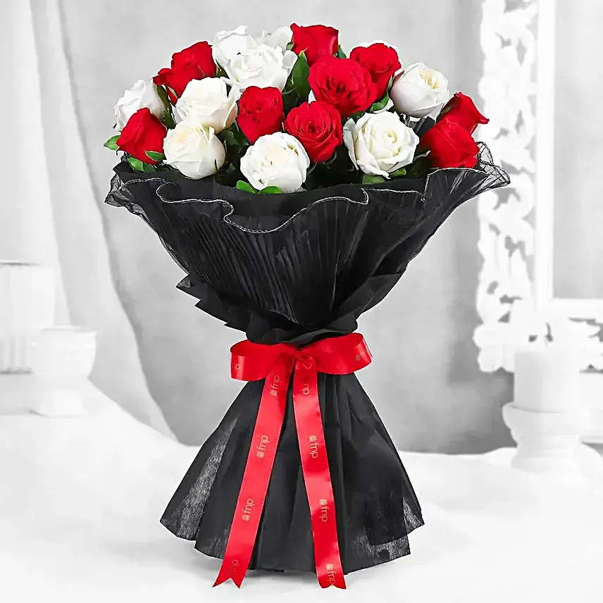Midnight Rose Dream