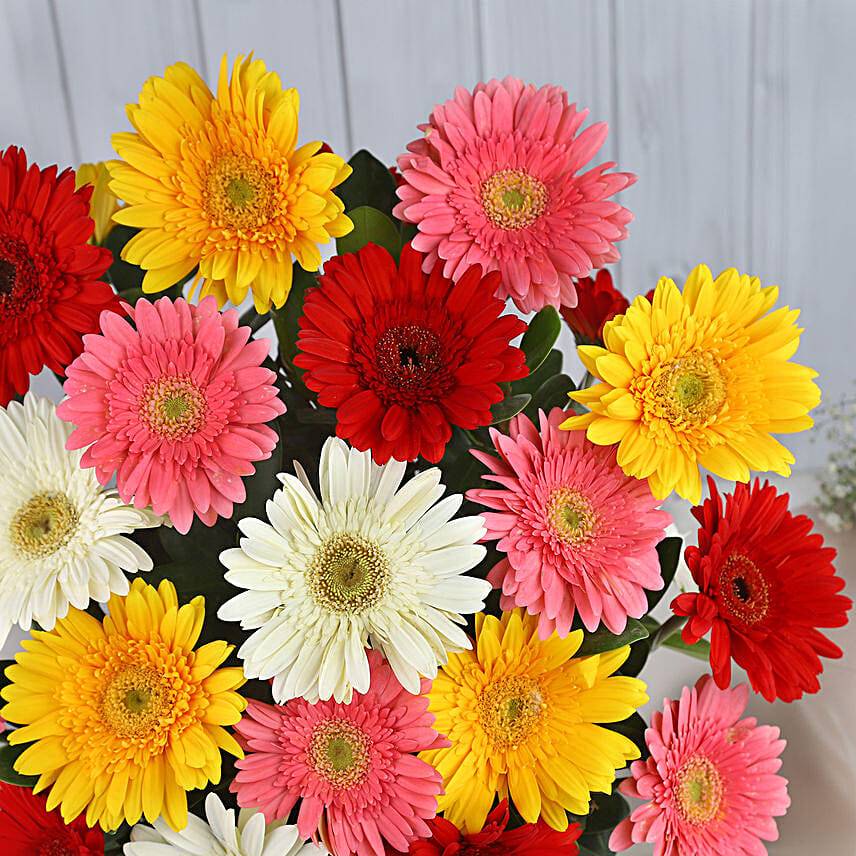 Colours Of Happiness Floral Arrangement