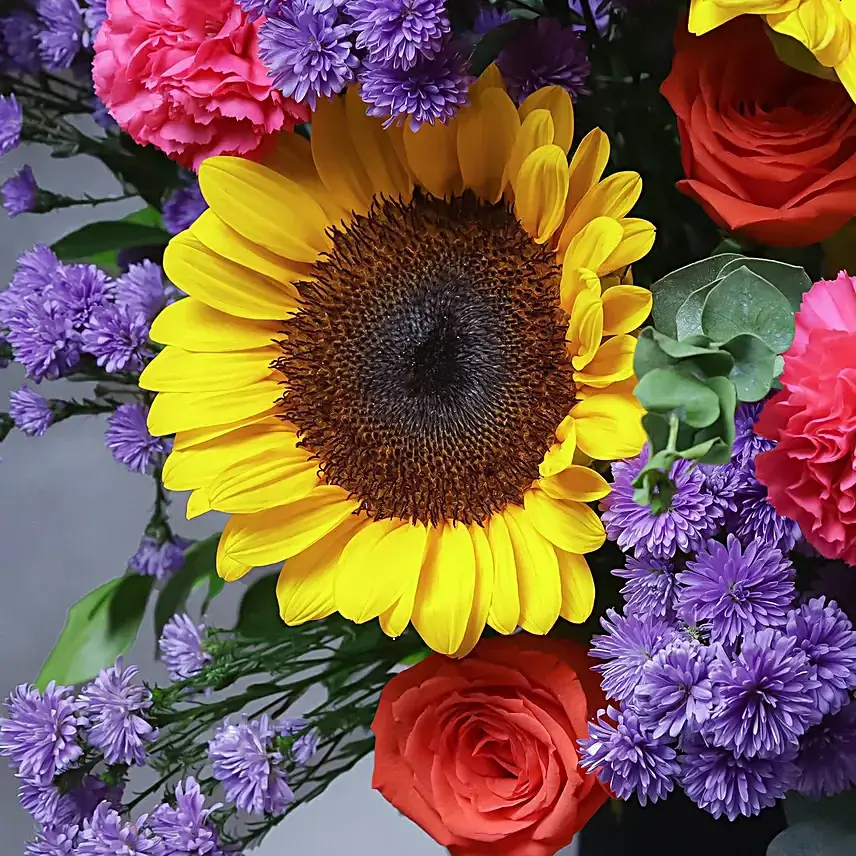 Sunbeam Extravagance