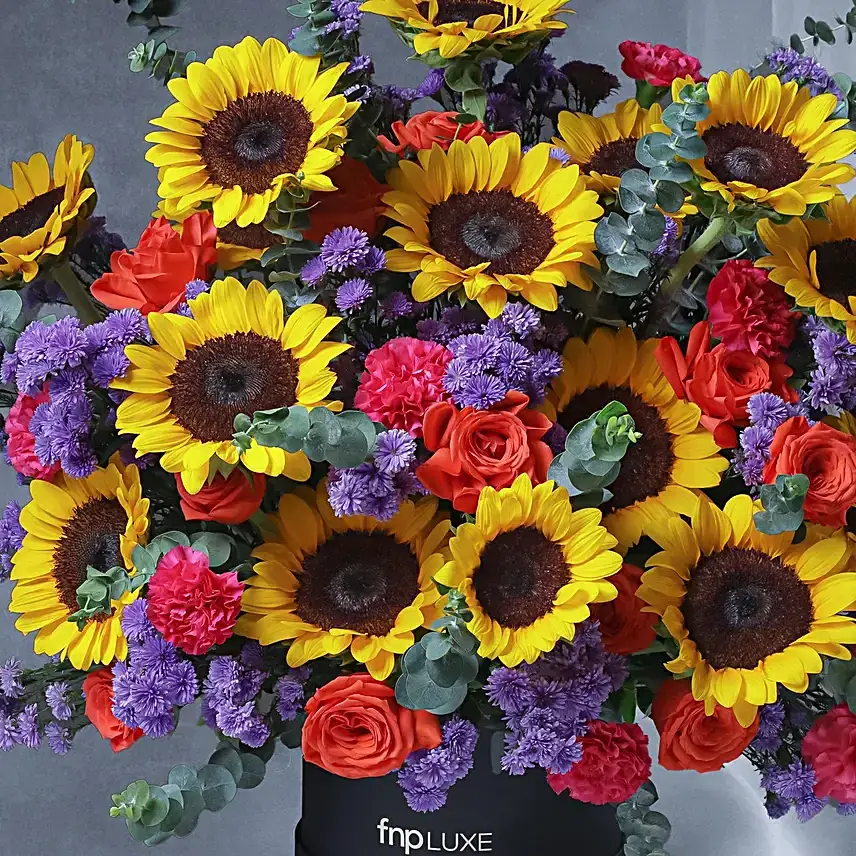 Sunbeam Extravagance