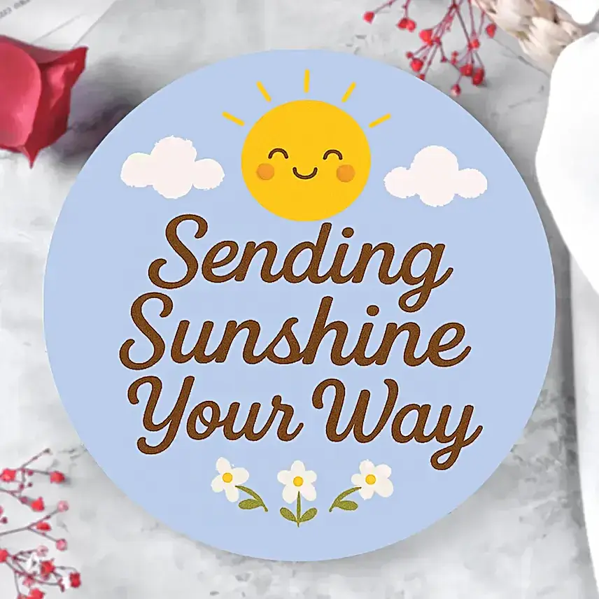 Sunshine Chocolate Dream Bento Cake