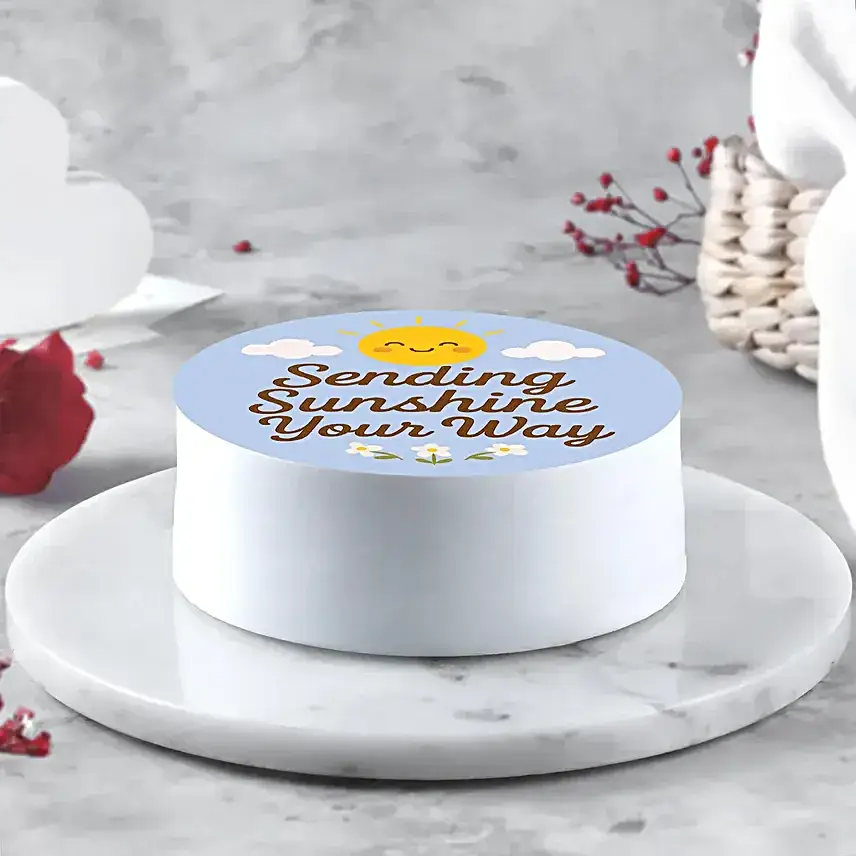 Sunshine Chocolate Dream Bento Cake