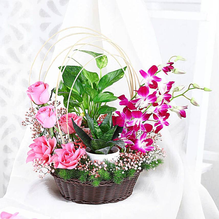 Sweet Leafy Anniversary Surprise Gift