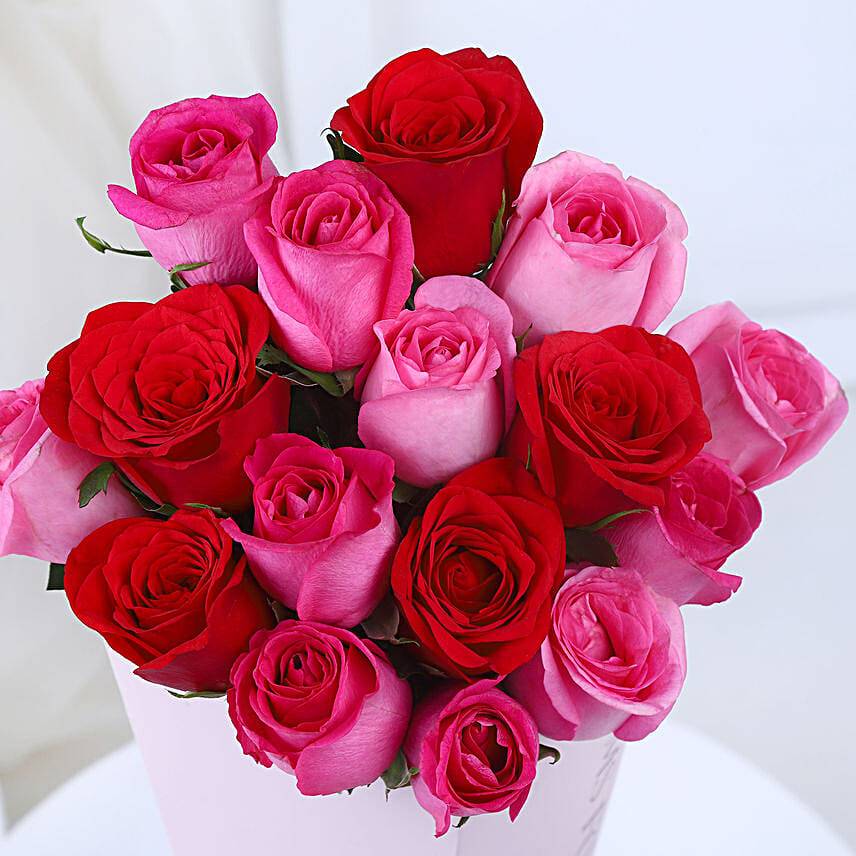 Sweetheart's Rose Melody