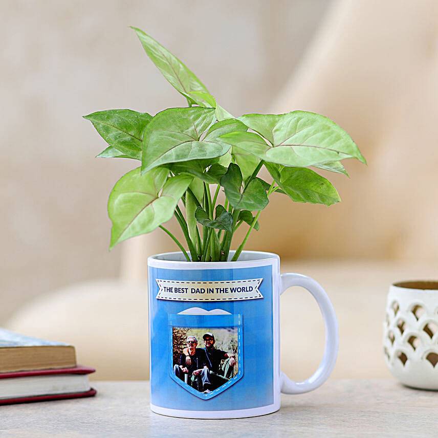 Syngonium Plant In Personalised Best Dad Mug