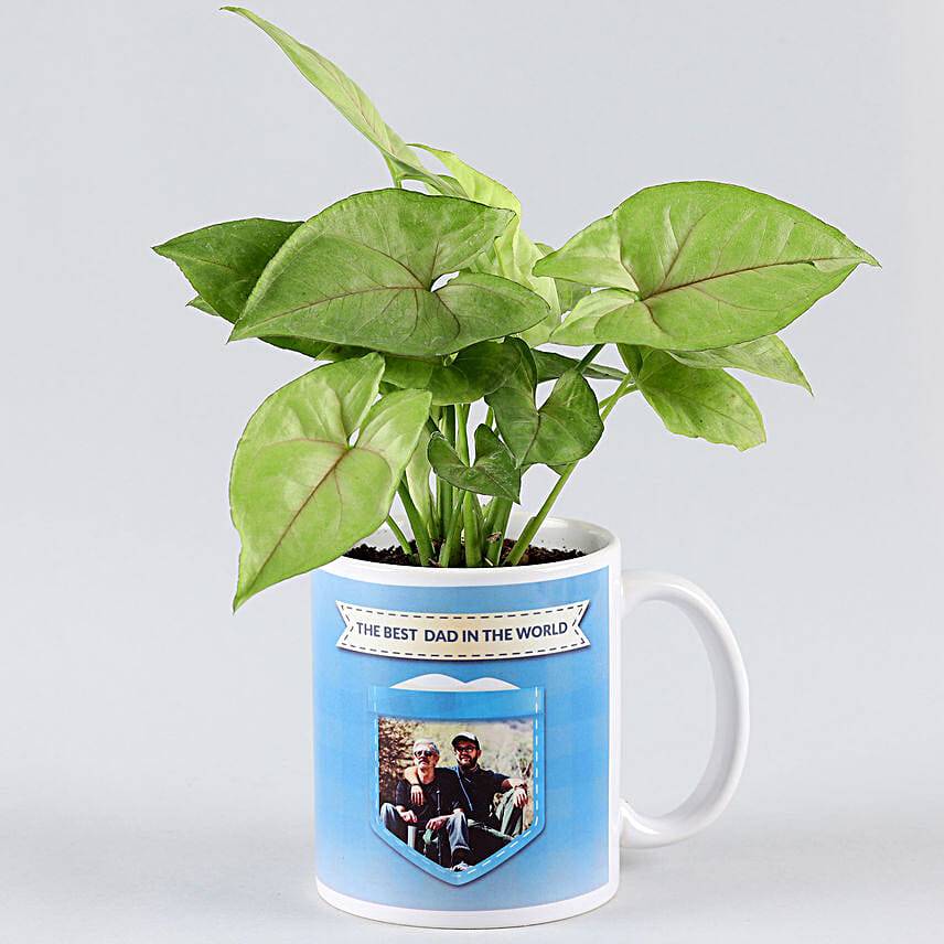 Syngonium Plant In Personalised Best Dad Mug