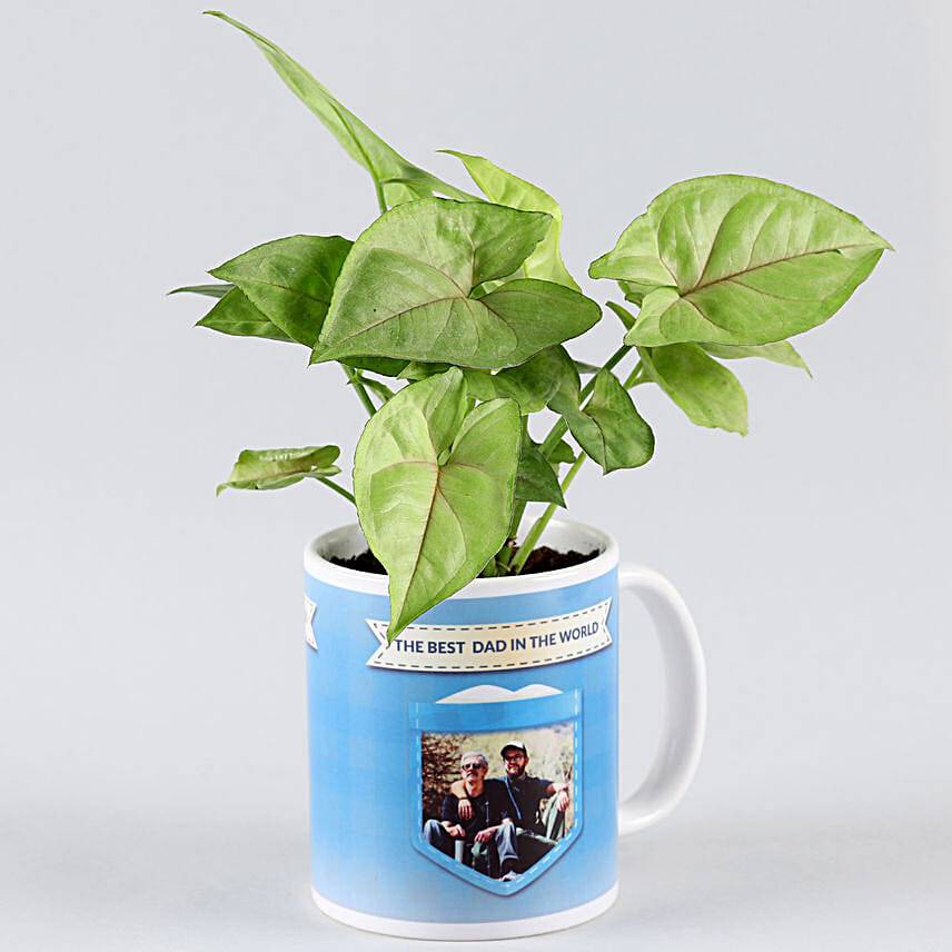 Syngonium Plant In Personalised Best Dad Mug