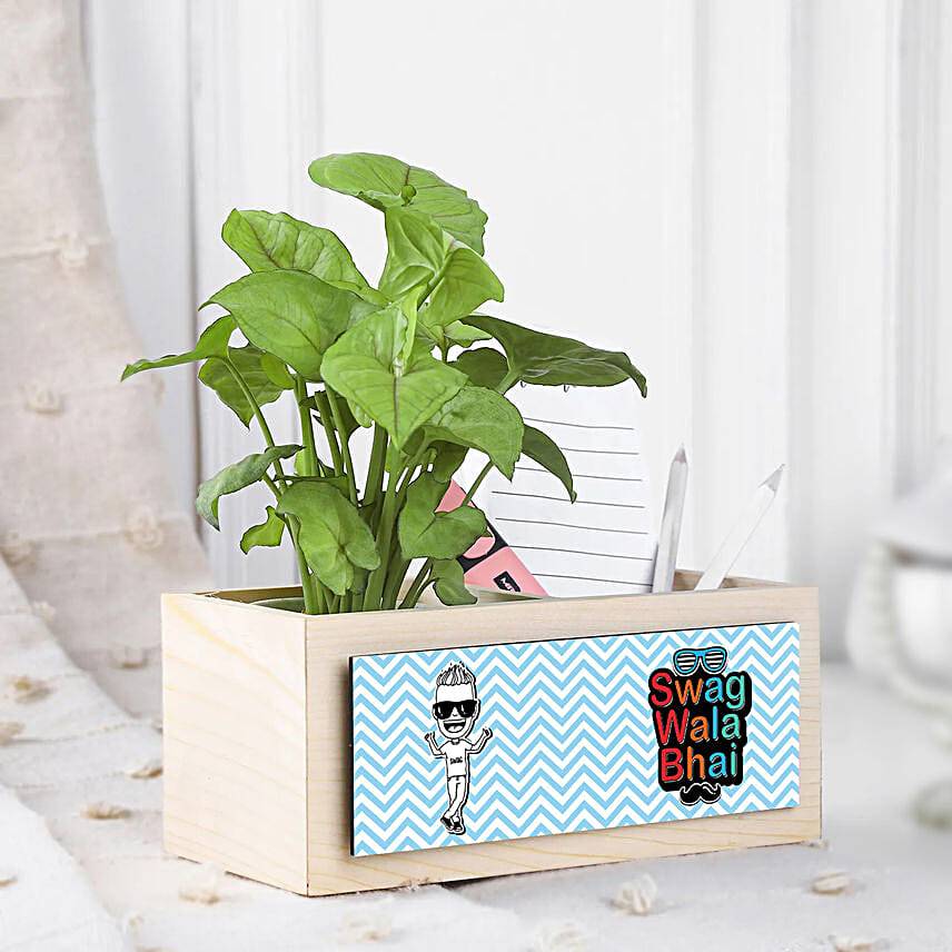 Syngonium Plant Surprise For Bro