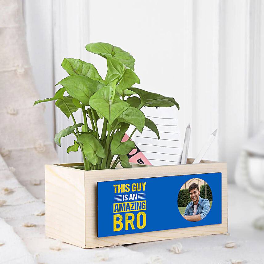 Syngonium Plant Surprise For Brother