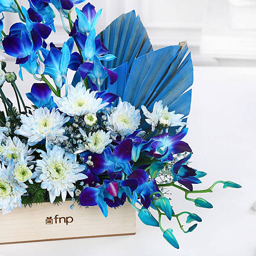 Tranquil Orchid Dream Bouquet & Truffle Cake Combo