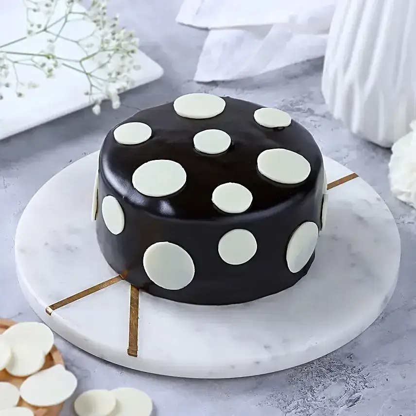 Truffle Bento Cake & Bamboo Plant Combo
