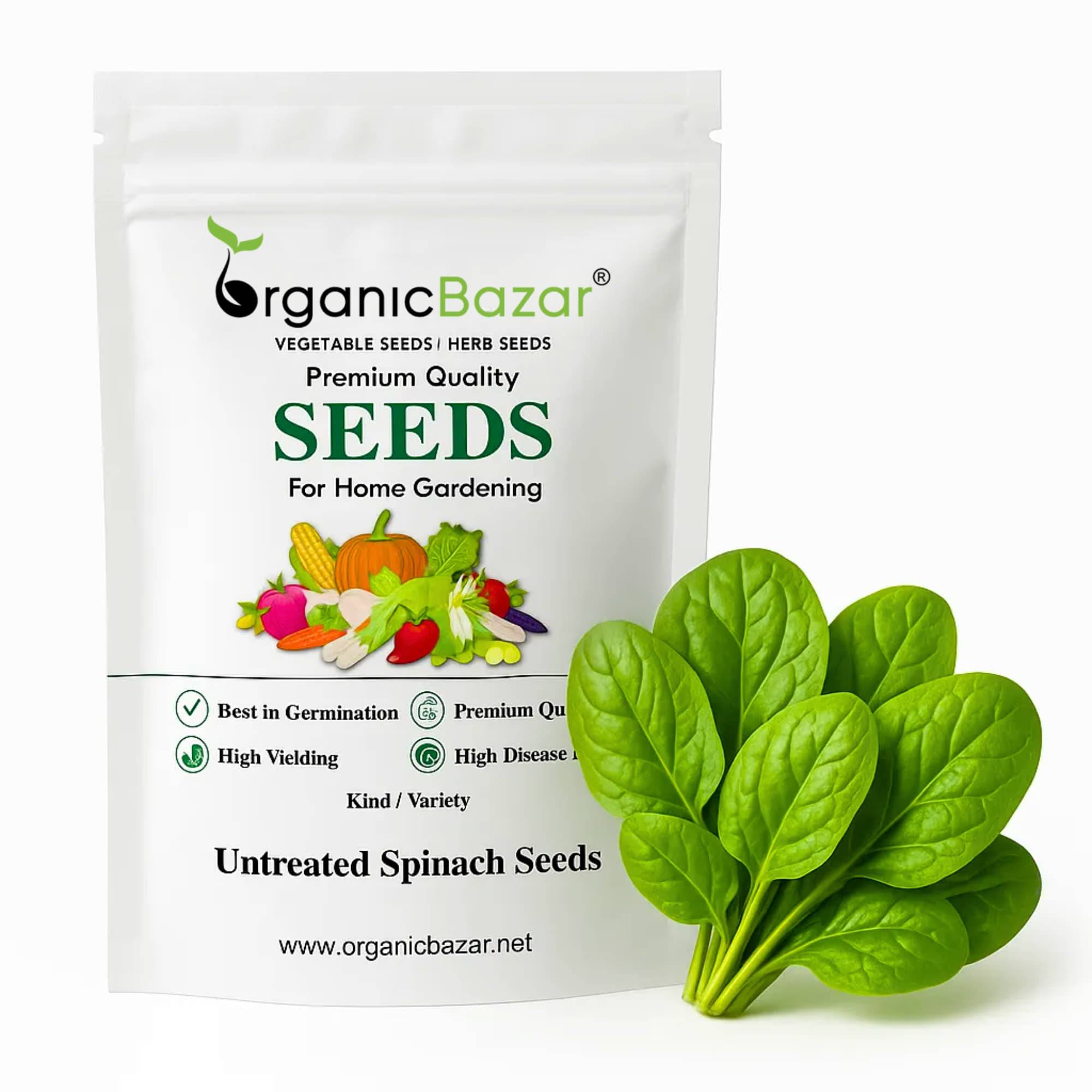 Untreated Spinach Seeds For Organic Gardening - 750 Seeds (Palak/ पालक के बीज)
