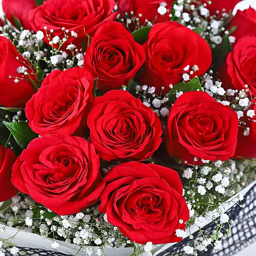 Velvety Red Rose Romance