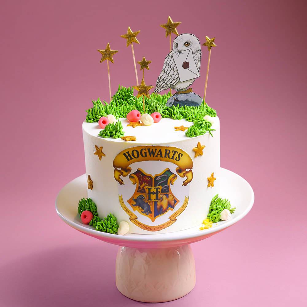 Wizards of Hogwarts Fantasy Cake