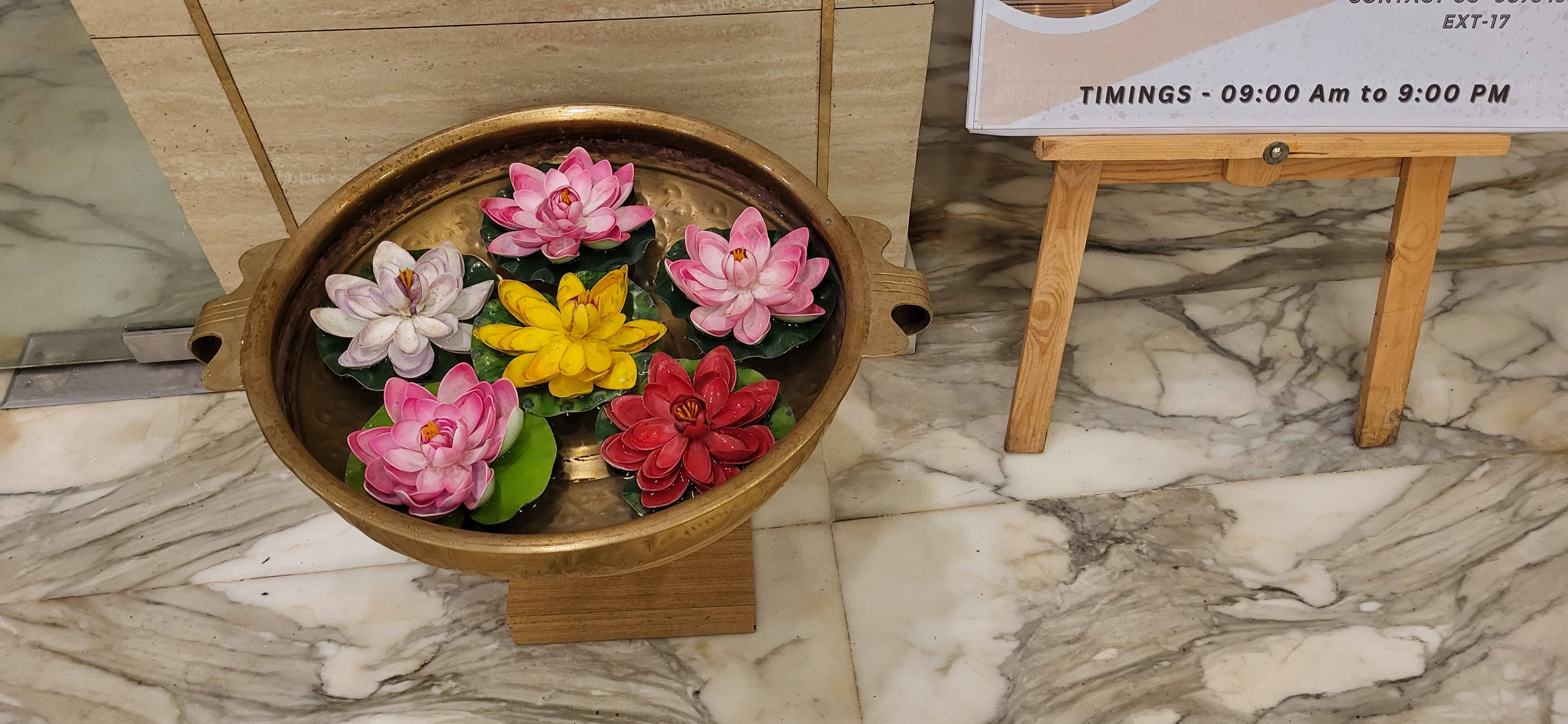 Lhasa spa mandarmani