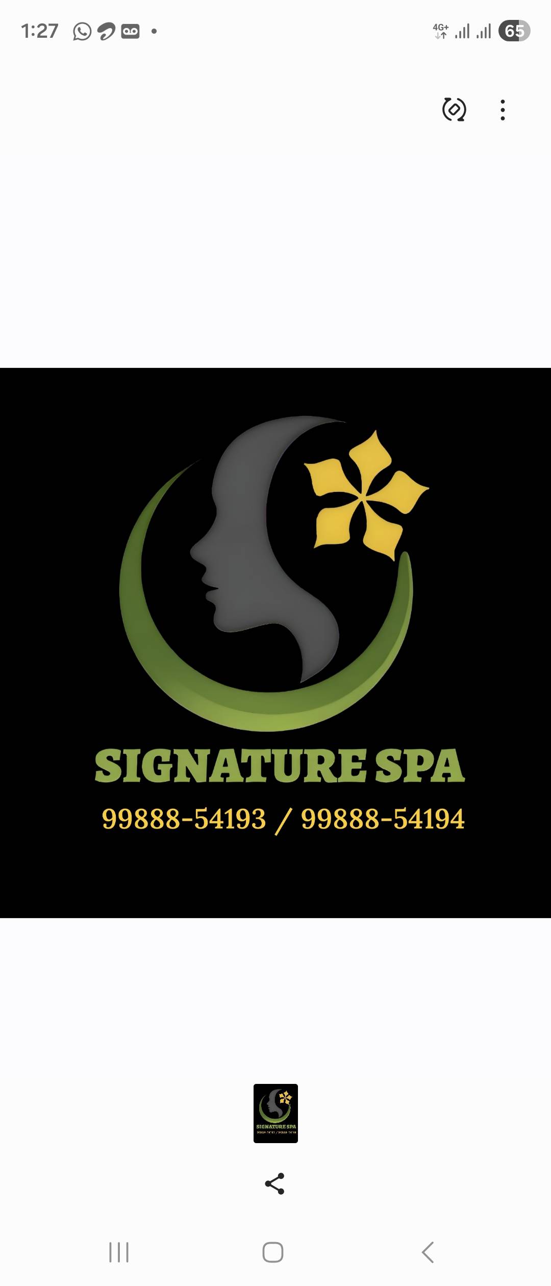 Signature spa 