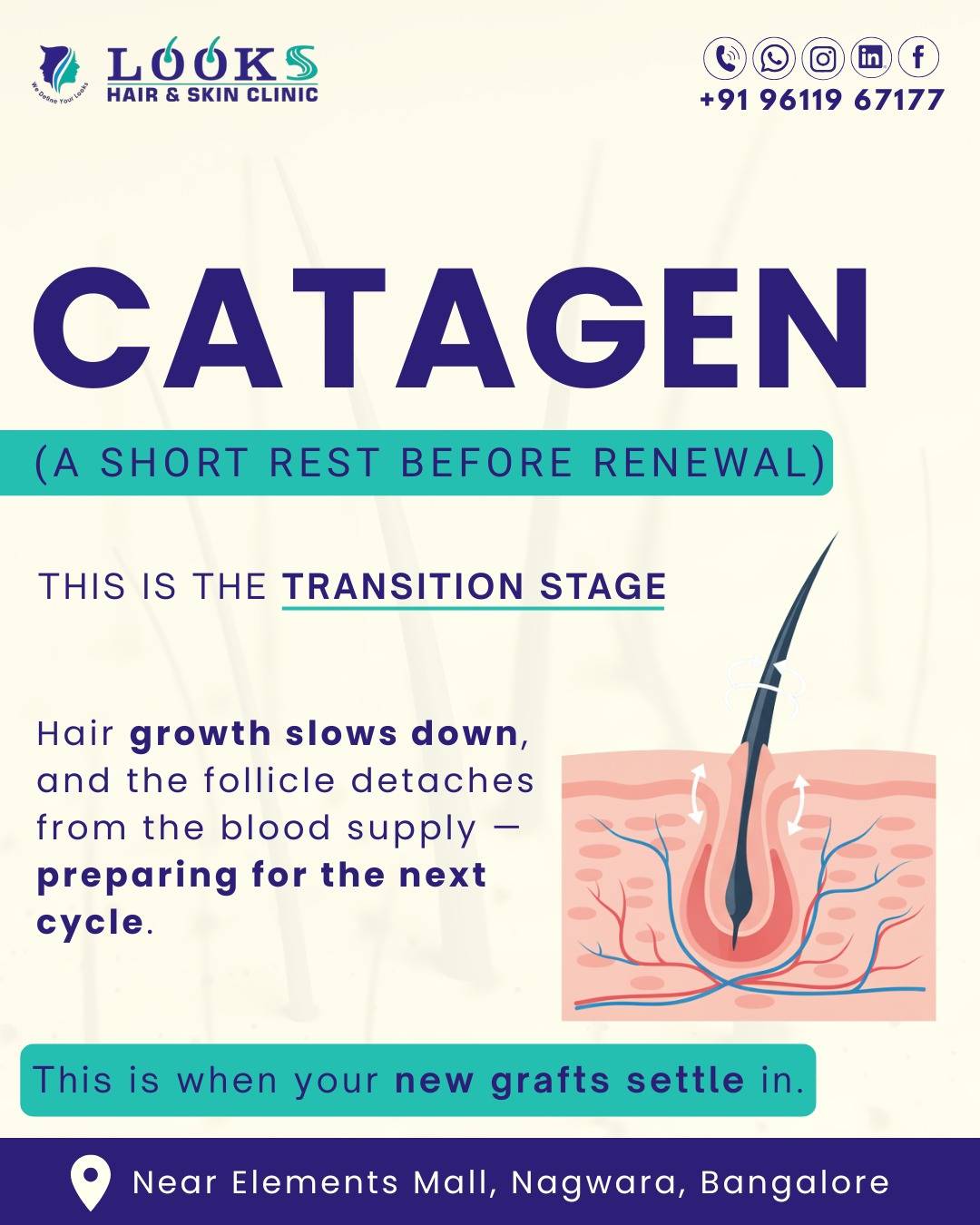 Looks Hair And Skin Clinic