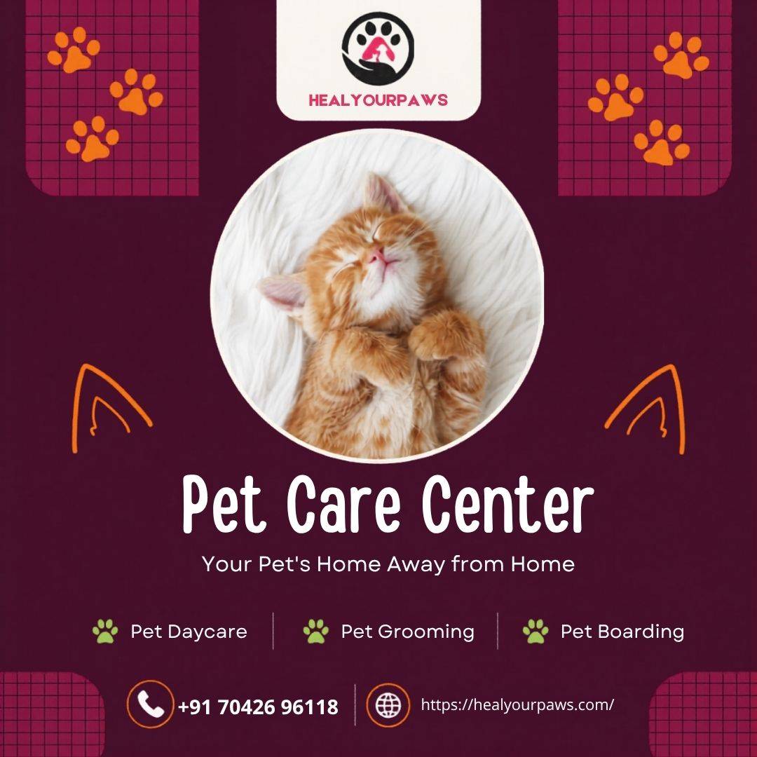 Heal Your Paws