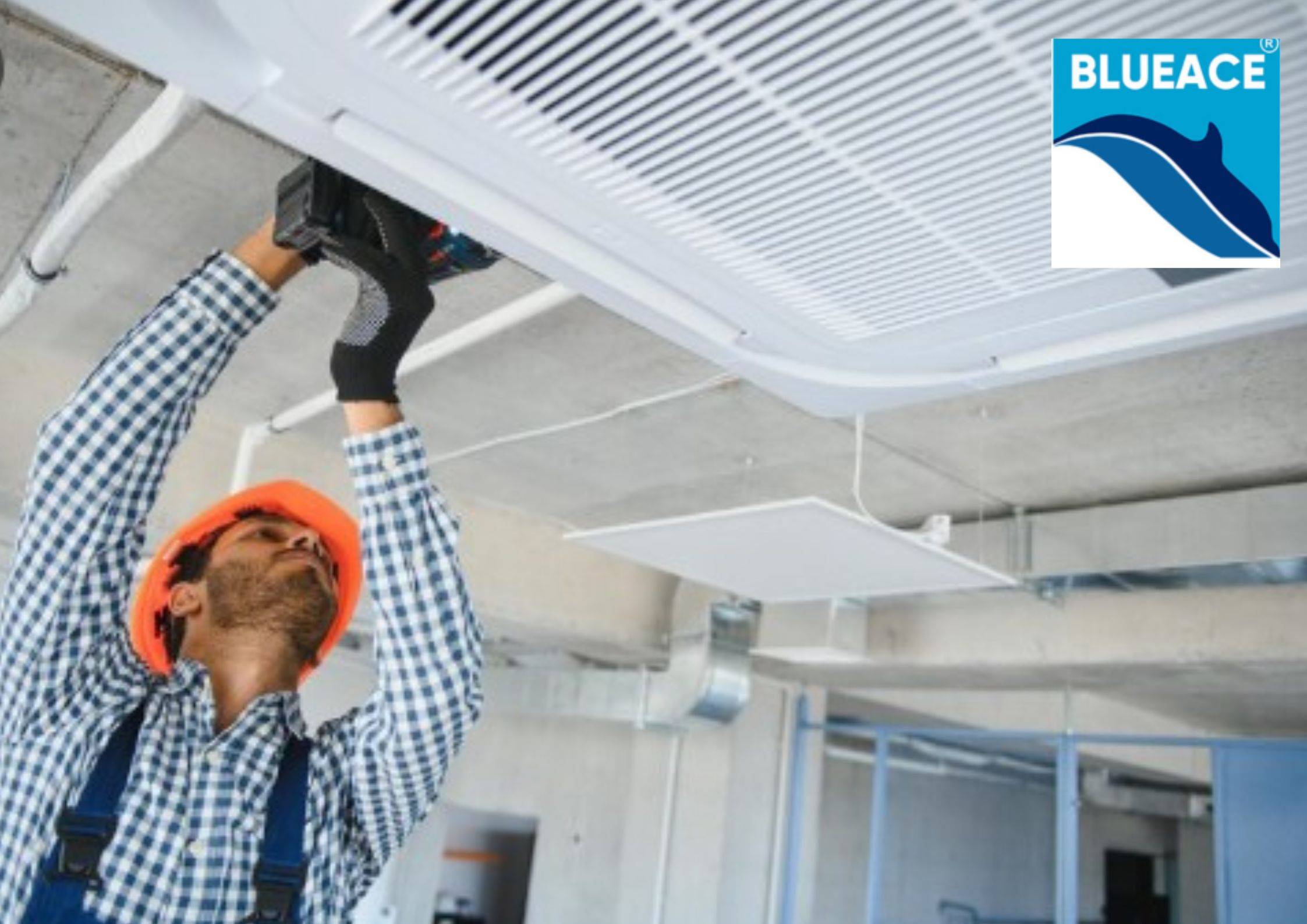 Blueace India Limited