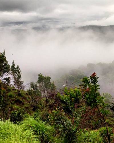 coorgpackage packages